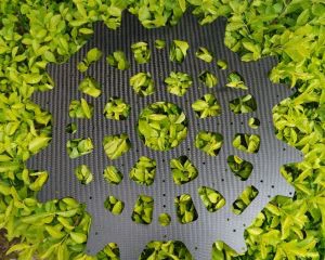 Didelio stiprumo 3k anglies pluošto lakštai su Cnc pjovimo